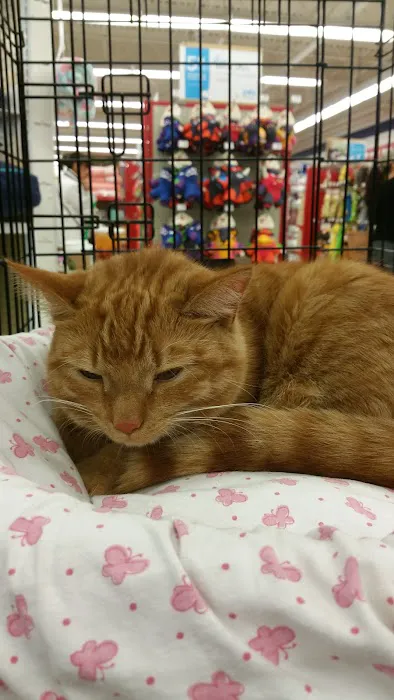 Petco Picture 6