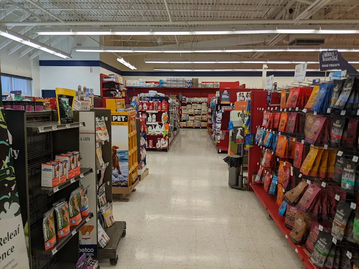 Petco Picture 4