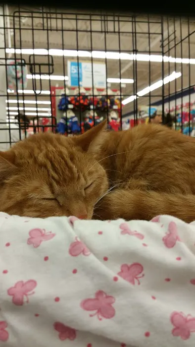 Petco Picture 7