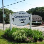 Cowesett Animal Hospital