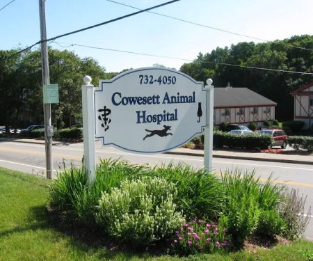 Cowesett Animal Hospital