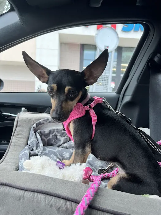 Cowesett Animal Hospital Picture 9