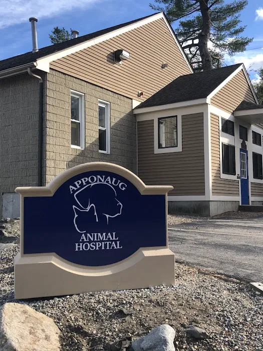 Apponaug Animal Hospital Picture 7
