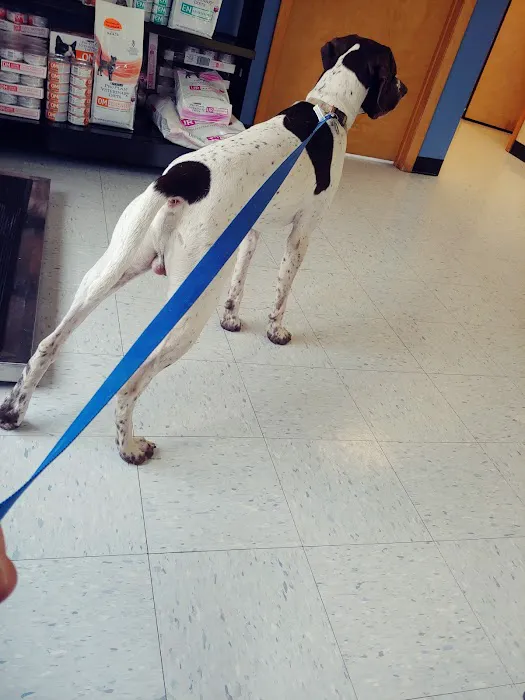 Apponaug Animal Hospital Picture 2