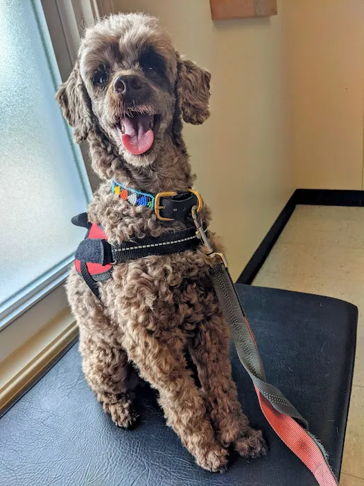 Apponaug Animal Hospital Picture 1
