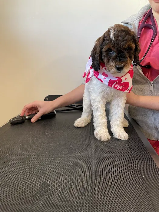 Apponaug Animal Hospital Picture 3