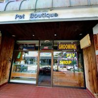 Pet Boutique ico
