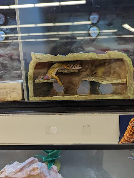 Petco Picture 1