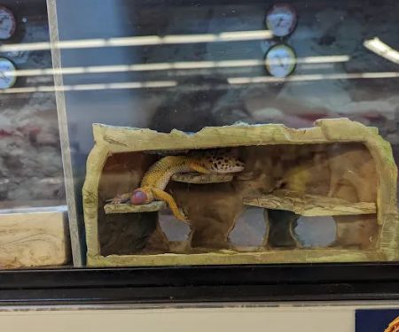 Petco