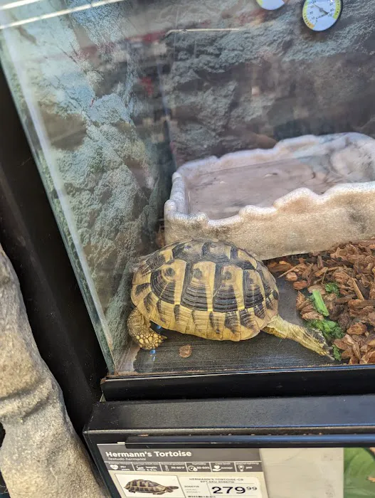 Petco Picture 4