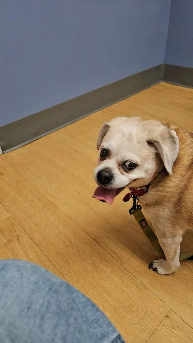 Warwick Animal Hospital Picture 6