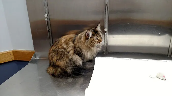 Warwick Animal Hospital Picture 2