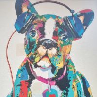 Warwick Animal Hospital ico