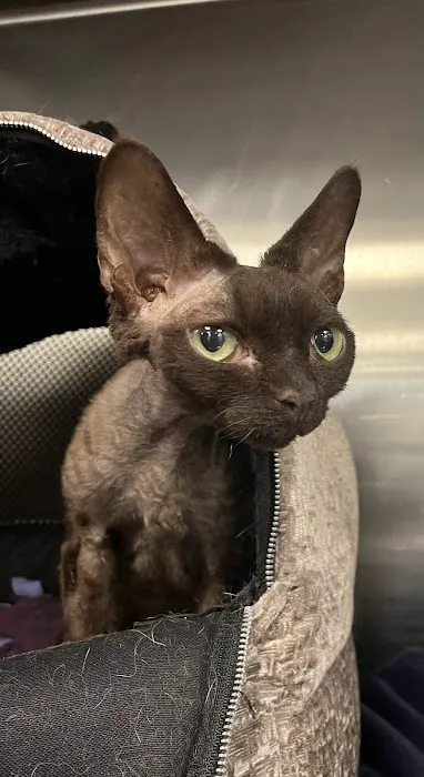 Warwick Animal Hospital Picture 7