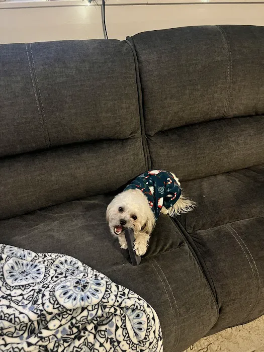 Pawsitive Pet Products Picture 3