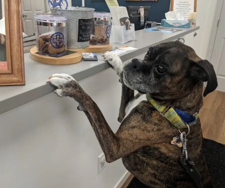 VCA Atwood Animal Hospital
