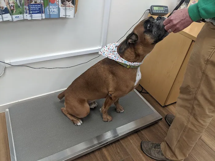 VCA Atwood Animal Hospital Picture 2