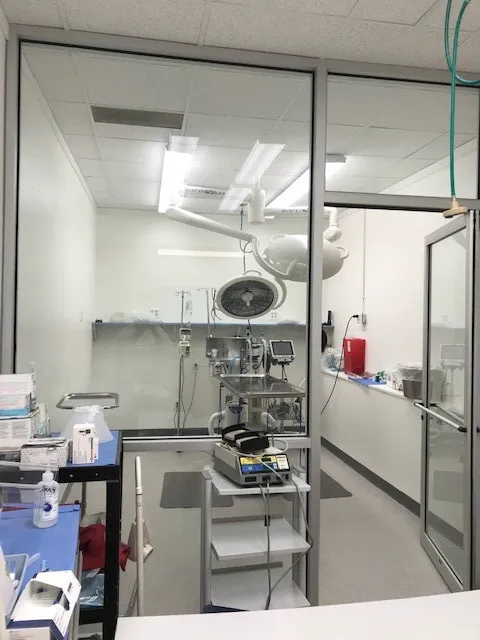VCA Atwood Animal Hospital Picture 8