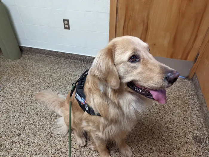 Cranston Animal Hospital Picture 1