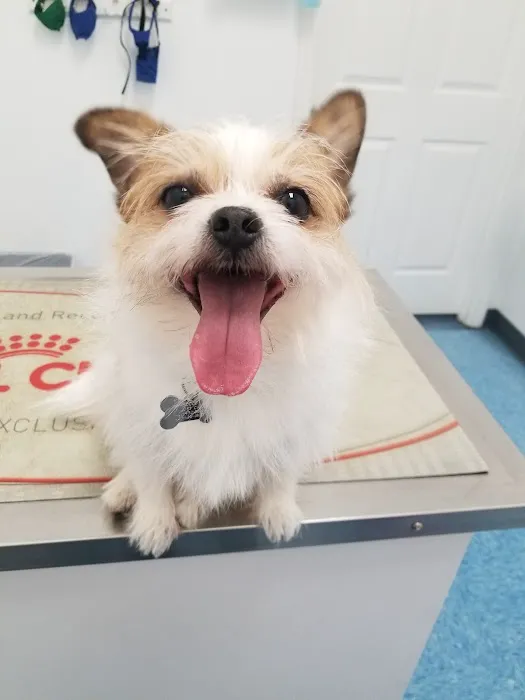 Titan Veterinary Services Picture 9