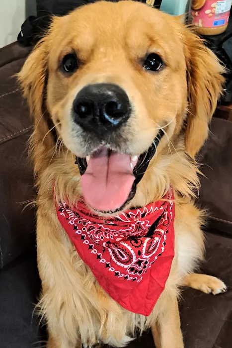Titan Veterinary Services Picture 10