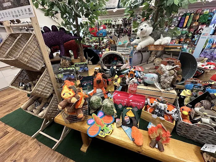 Ligonier Paws on Main Picture 5