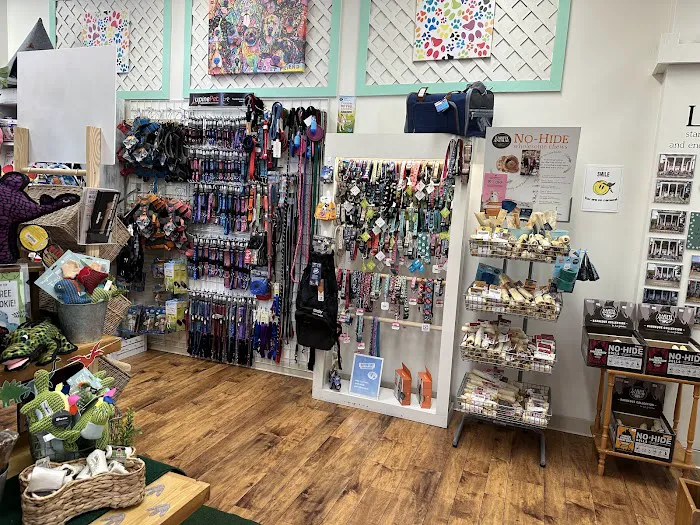 Ligonier Paws on Main Picture 2