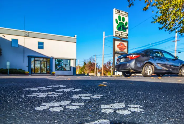 Rhode Island Animal Medical Center Picture 1