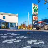 Rhode Island Animal Medical Center ico