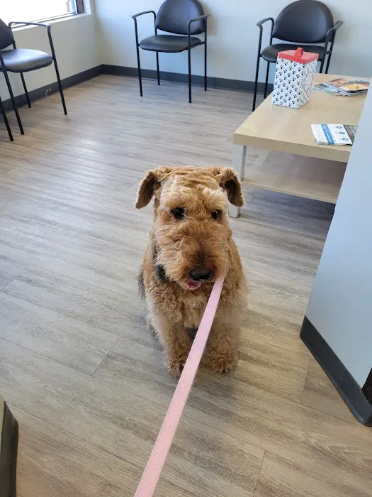 Rhode Island Animal Medical Center Picture 4