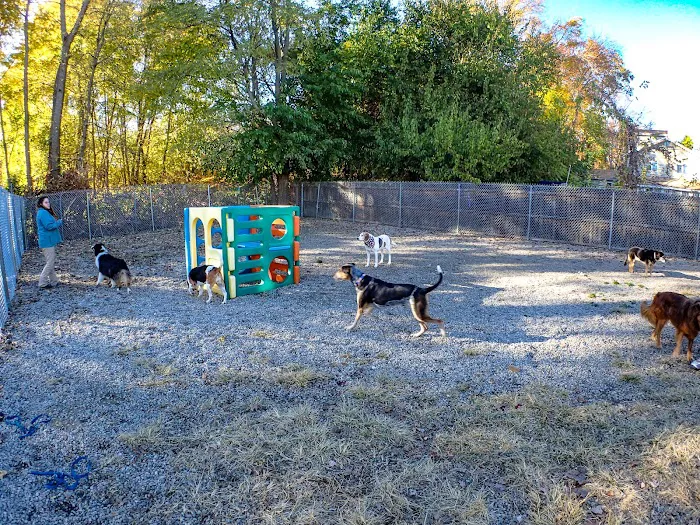 Rhode Island Animal Medical Center Picture 3