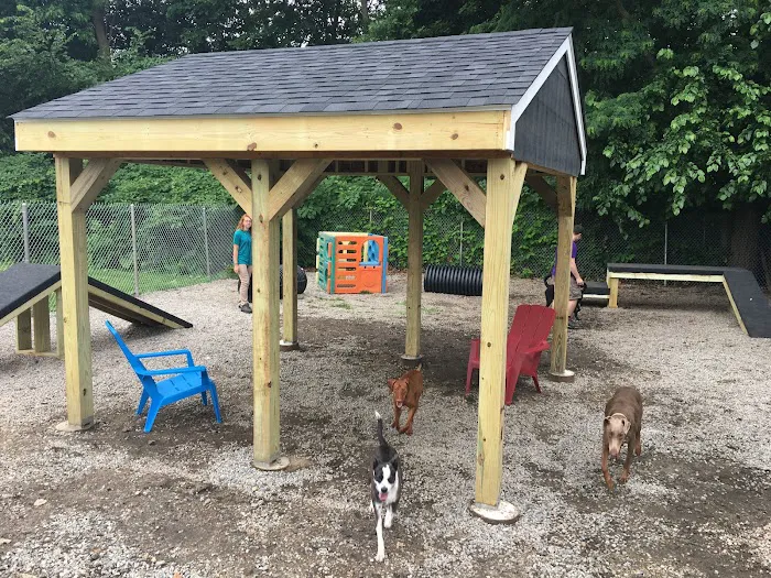 Rhode Island Animal Medical Center Picture 9