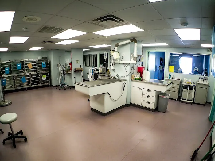 Rhode Island Animal Medical Center Picture 5