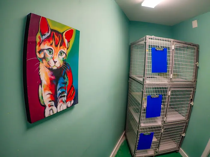 Rhode Island Animal Medical Center Picture 7