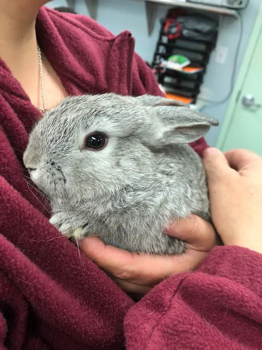 Rhode Island Animal Medical Center Picture 10