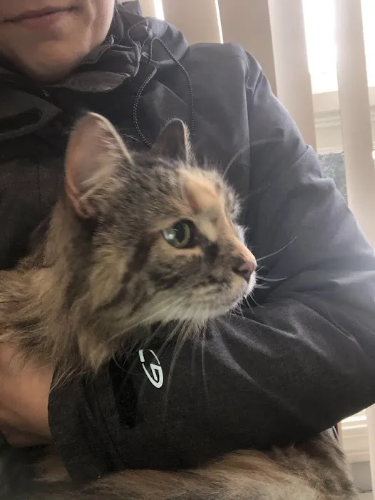 Airport Animal Hospital Picture 5
