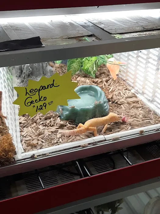 Gittler's Aquarium & Aviary Picture 5