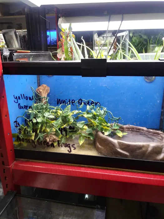 Gittler's Aquarium & Aviary Picture 8