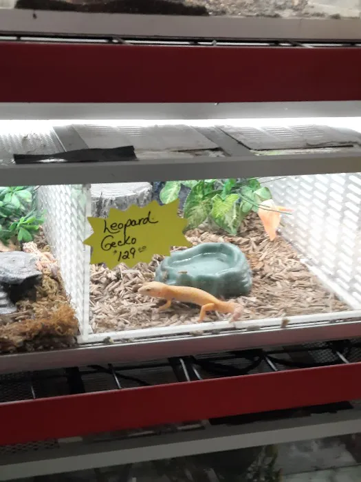 Gittler's Aquarium & Aviary Picture 7