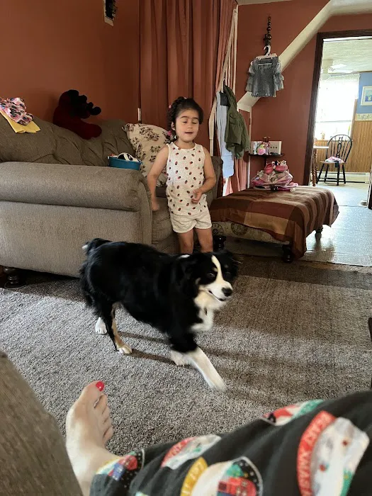 West Shore Animal Clinic Picture 2