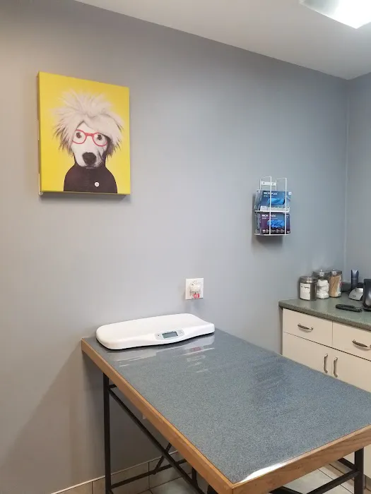 West Shore Animal Clinic Picture 3