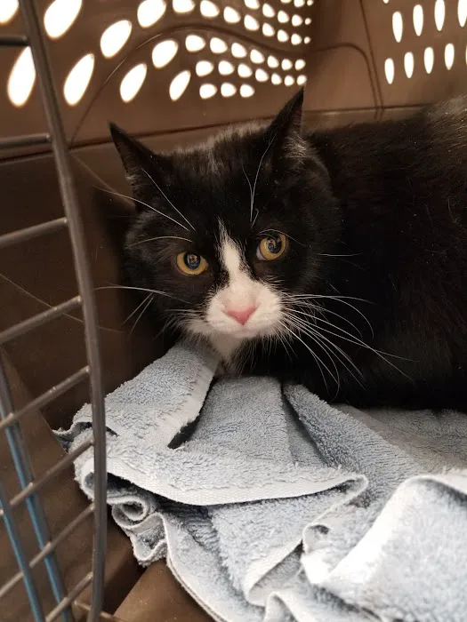 West Shore Animal Clinic Picture 6