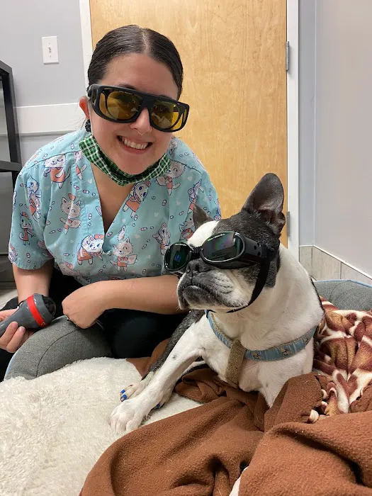 West Shore Animal Clinic Picture 8