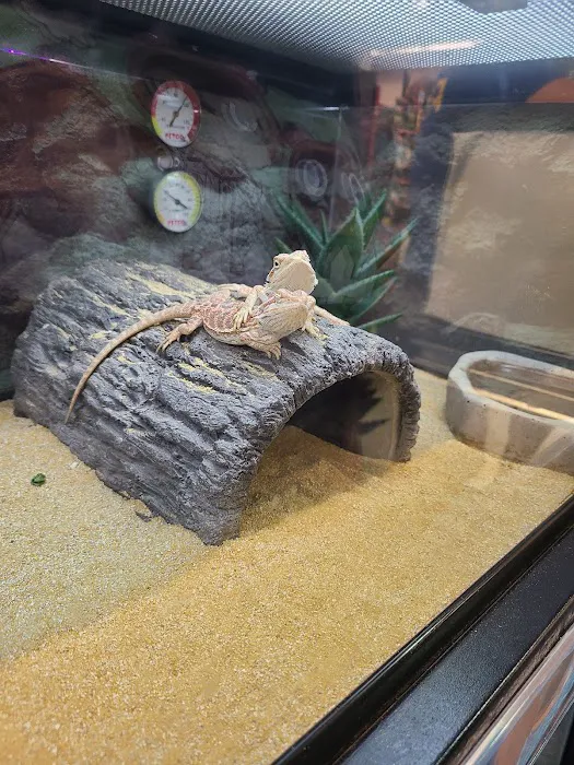 Petco Picture 5