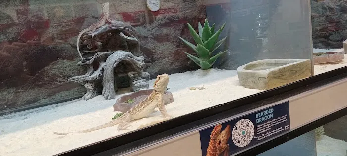 Petco Picture 4