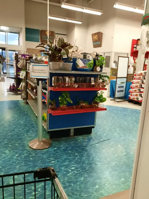 Petco Picture 8