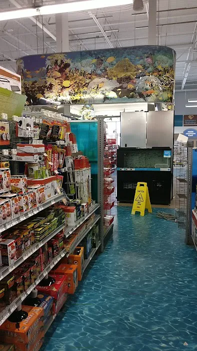 Petco Picture 9