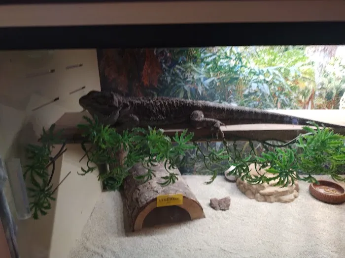 Petco Picture 7