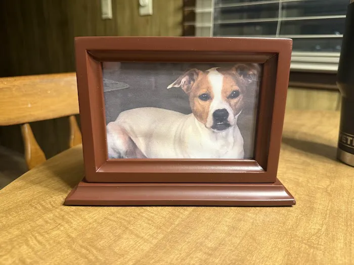 Mobile Pet Care Picture 6
