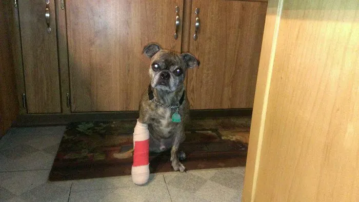 Apple Valley Veterinarians, LLC Picture 1